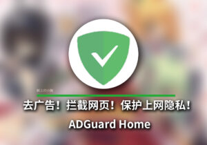 【全平台/工具】无感 去广告！拦截网页！防止DNS污染！保护上网隐私！ADGuard Home Docker版本-玄夜の资源小站