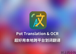 【PC/Mac】超好用 本地 跨平台划词翻译 Pot Translation & OCR V3.0.7-玄夜の资源小站