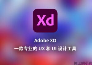 【PC/设计】Adobe XD 2025 专业UI设计工具 最新 V 58.0.12-玄夜の资源小站