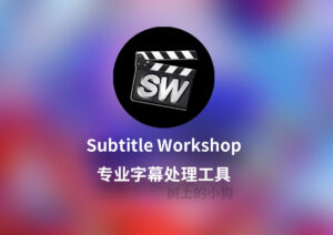 【PC/工具】专业字幕处理工具 Subtitle Workshop V6.3.4 中文汉化 / 免安装-玄夜の资源小站