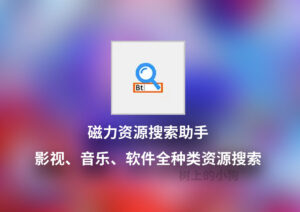 【PC/工具】超好用 BT磁力 资源搜索 助手 v25.11.12 中文 / 免安装-玄夜の资源小站