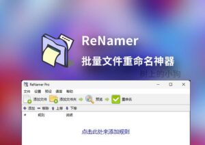 【PC/工具】批量文件重命名神器专业版 ReNamer PRO V7.9.0.3.beta 正则表达式 | Pascal 脚本 | 元数据重命名-玄夜の资源小站