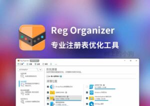 【PC/工具】专业注册表优化 Reg Organizer V9.90 beta1 中文 | 免安装-玄夜の资源小站
