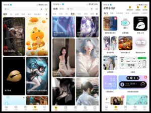 元气壁纸 v3.63.4386 解锁会员-玄夜の资源小站