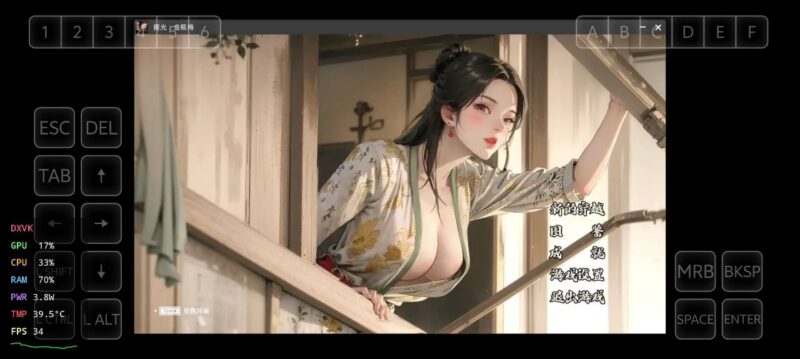 捱光:金瓶梅 B17135268 官中版-玄夜の资源小站